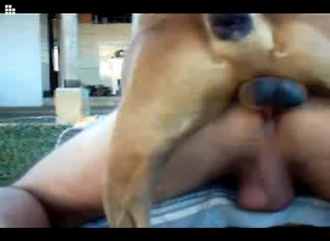 Video :Brown dog smashing a gay's butthole in gay anal sex